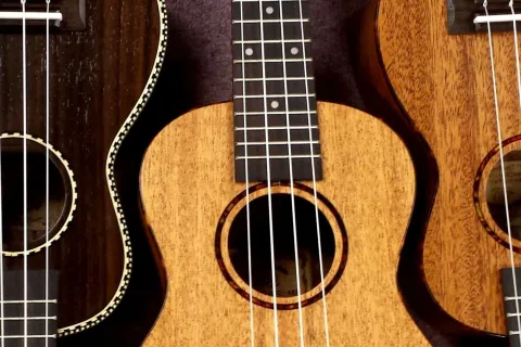 Ukuleles
